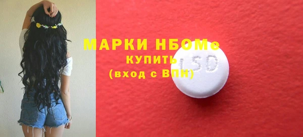 твердый Кулебаки