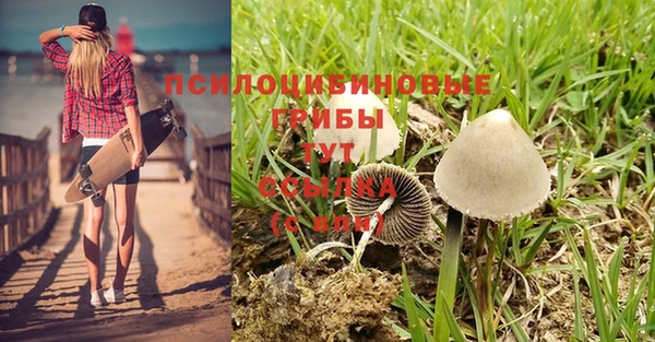 соль курить ск Балабаново